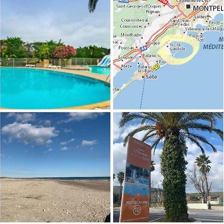 Camping L'Europe Hotell Vic-la-Gardiole Eksteriør bilde